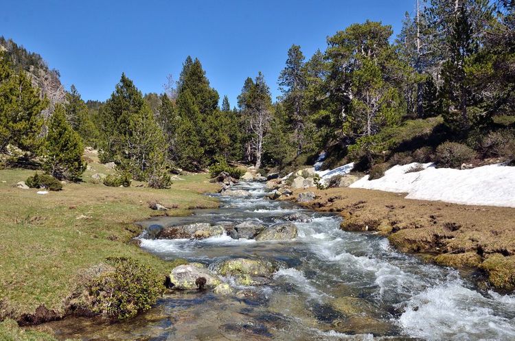 Les eaux vives du Riu Madriu