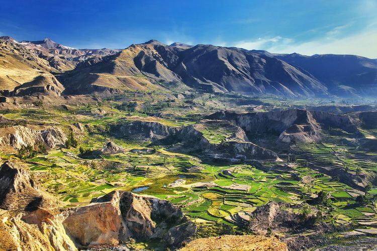 Le canyon de Colca au Pérou
