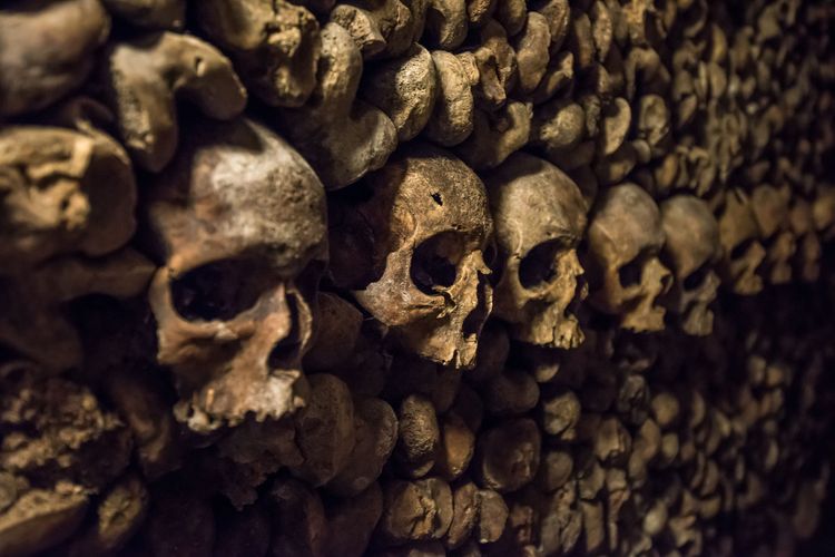 Shivering six feet underground in the catacombs of Paris