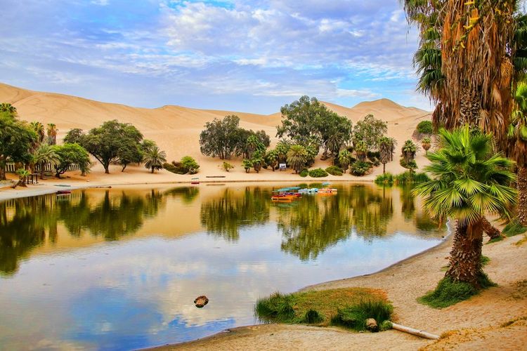 El oasis de Huacachina en Perú