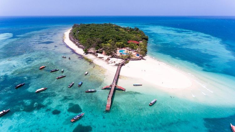 Begegnen Sie den Riesenschildkröten auf Prison Island