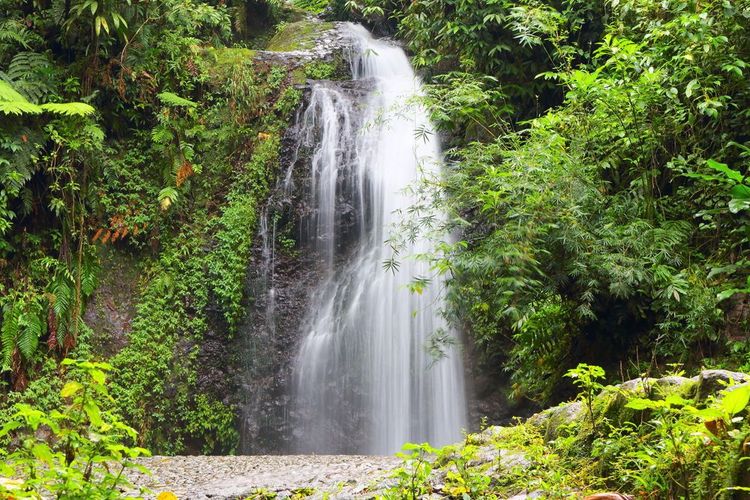 Plongez dans les chutes d'eau spectaculaires de la Martinique
