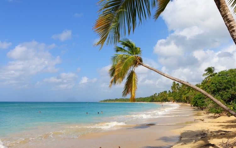 La plage des Salines est considérée comme la plus belle de Martinique