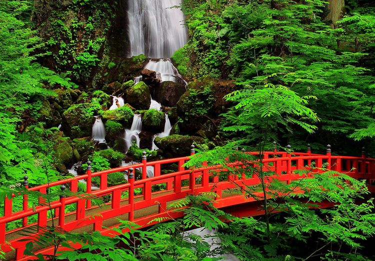 La cascade du parc Shirogane Fudo-no-Taki
