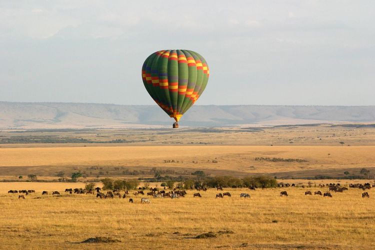 Réserve Masai Mara, Kenya