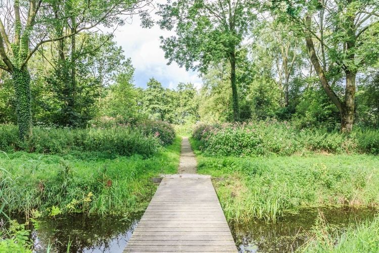 Zone naturelle Loetbos avec de la végétation