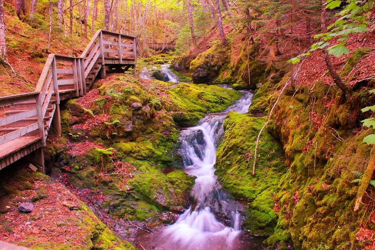  Parc national de Fundy, Nouveau-Brunswick