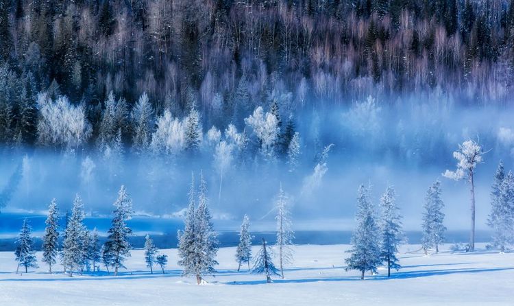 Xinjiang