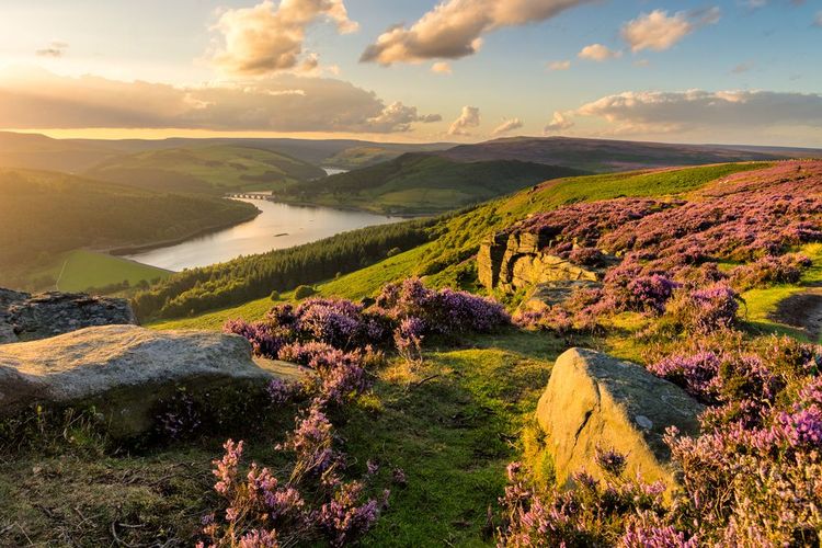 Explore the Peak District: A Day Lost Among Rolling Hills, Ancient Manors, and Charming Towns