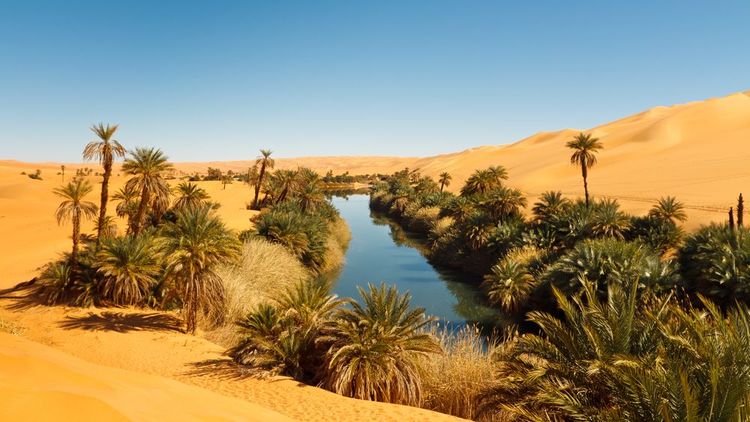 Lac Umm al-Ma - Oasis idyllique dans la mer de sable d'Awbari, désert du Sahara, Libye