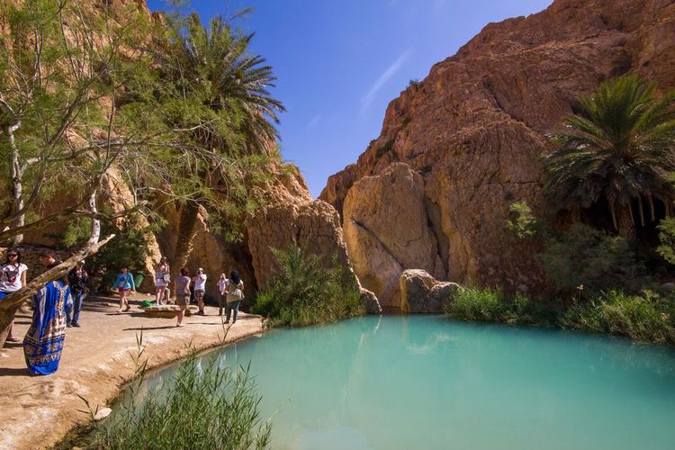 L'oasis de Chebika