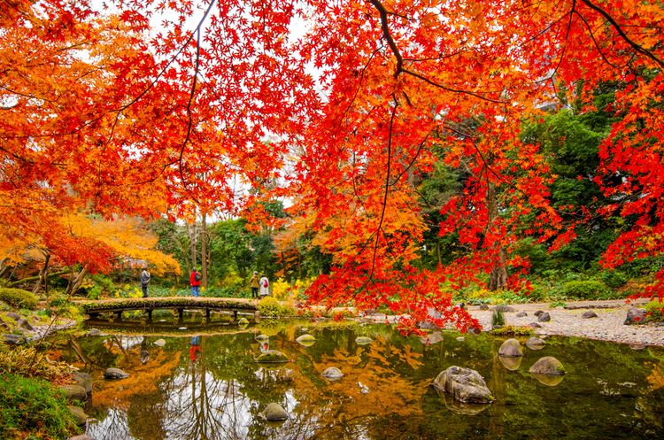 10 most beautiful gardens in the world - easyVoyage