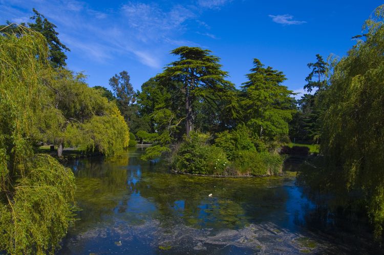 Get lost in the enchanting world of the Lost Gardens of Heligan