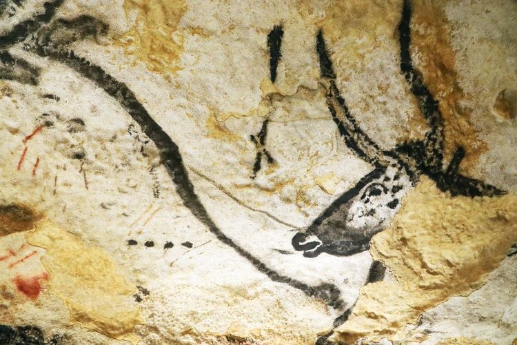 taureau préhistorique représenté dans les grottes de Lascaux