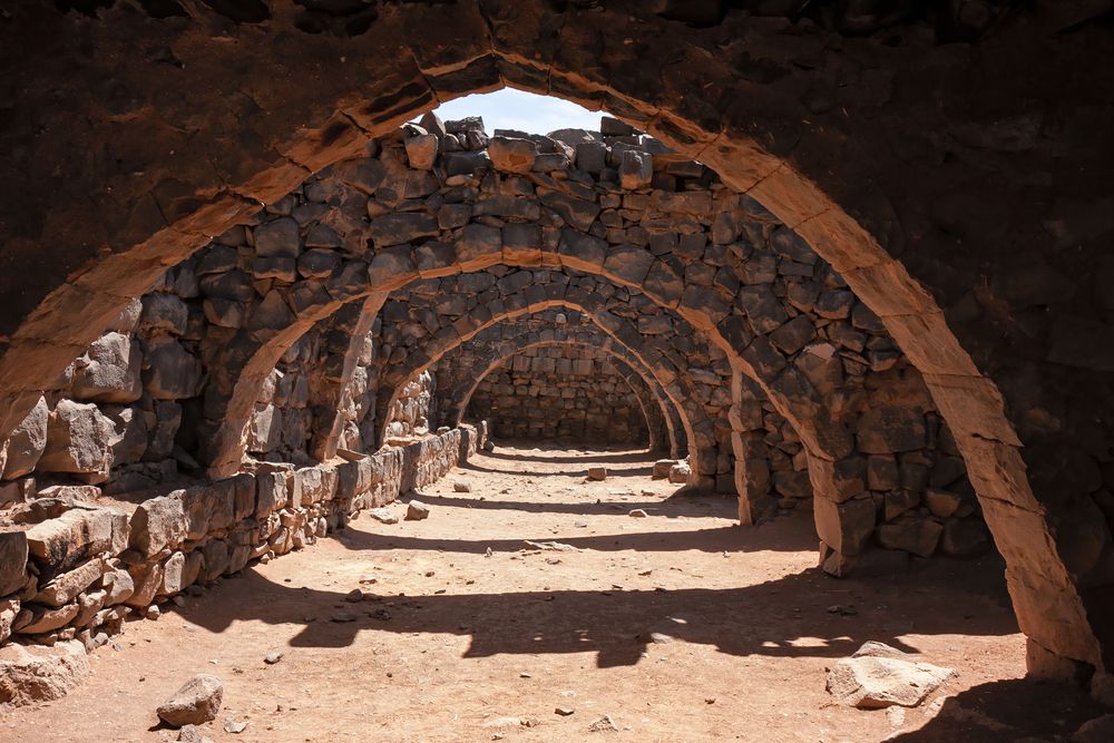 ¡Reserve su excursión para descubrir los castillos del desierto!