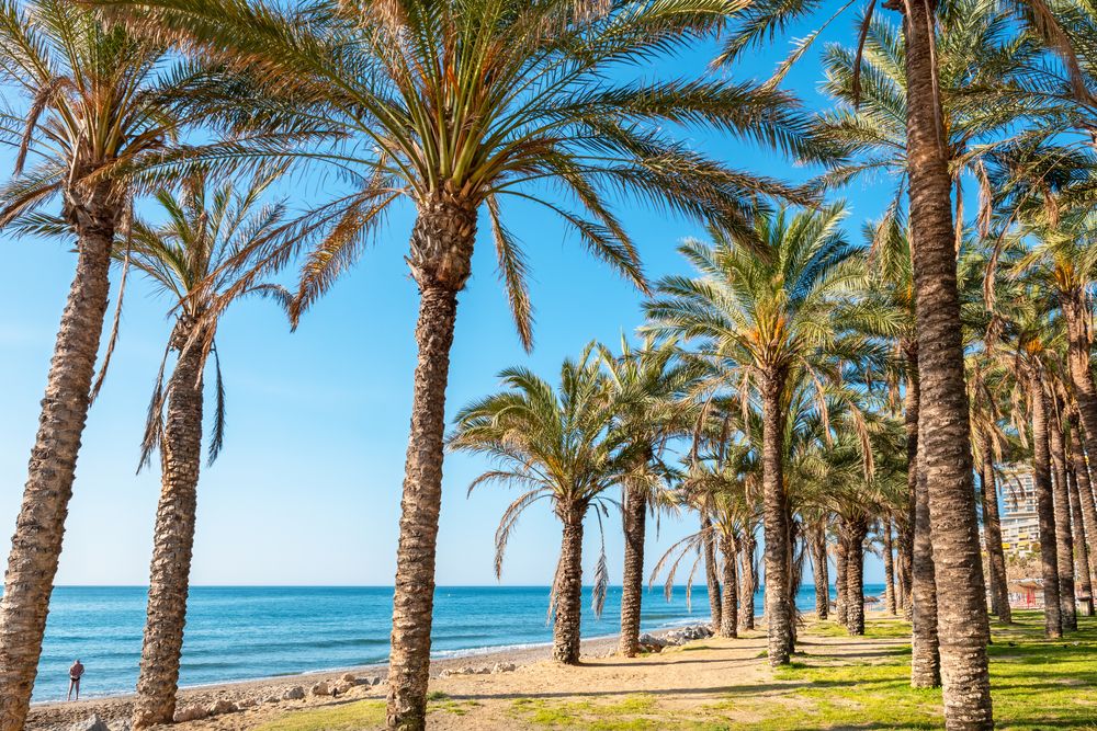 Costa del Sol 🌊 : 6j/5n en hôtel 4* avec vol + petit-déjeuner brunch