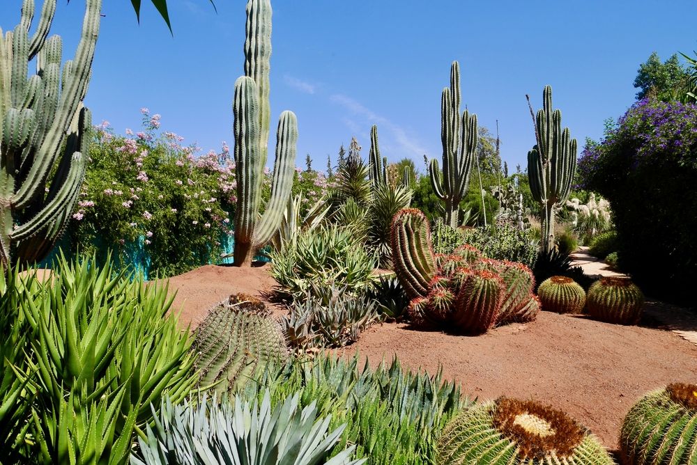 Marrakech : escapade 5⭐ romantique & jardins mystérieux 😍 (vol compris)