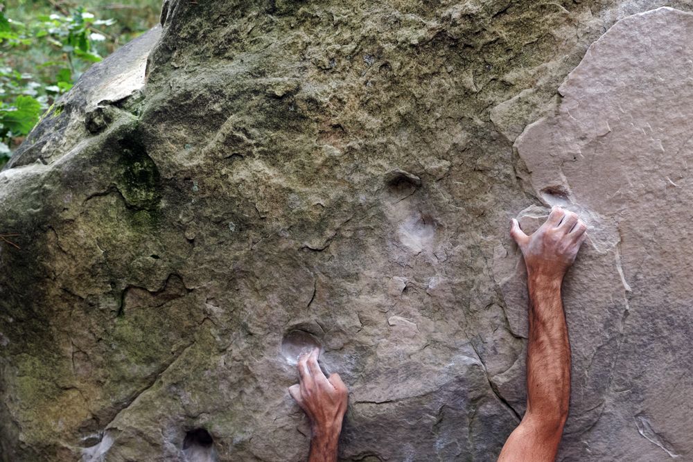Initiation à l'escalade de bloc en forêt