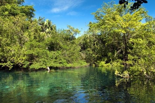 Baño en los manantiales naturales de la reserva ecológica Ojos Indígenas