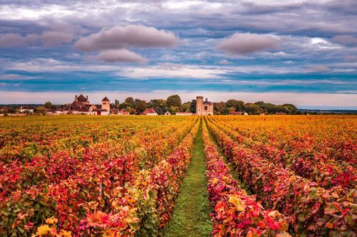 Prolongez l'été dans ces 4 spots naturels de Bourgogne