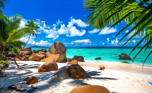 Le paradis est sur Terre ! Cap sur les Seychelles (et ses lagons turquoise, cocotiers et tortues géantes)