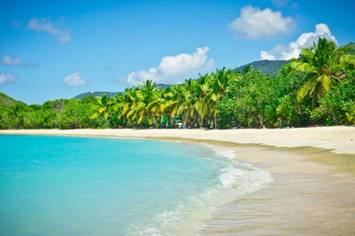 Cocotiers, eaux turquoise et sable blanc : les îles Vierges britanniques, l'autre visage du Royaume-Uni