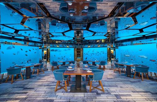 3 restaurants sous-marins pour un tête-à-tête avec les poissons