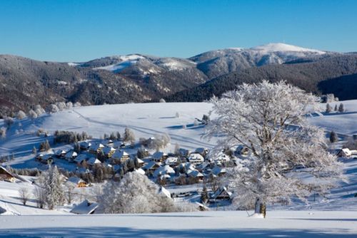 A 1h de la frontière française, découvrez la Forêt-Noire pour ses villages, sa nature et son atmosphère féerique en hiver