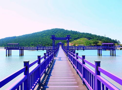 Vous aimez la ville bleue de Chefchaouen ? Vous allez adorer ces îles violettes en Corée du Sud !