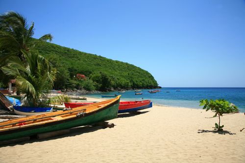 Entre plages paradisiaques et jardins enchanteurs, 5 spots à voir au moins une fois en Martinique 