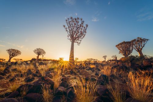 Ces curiosités de la Namibie vont vous donner envie d'y faire un tour (peut-être plus vite que prévu)