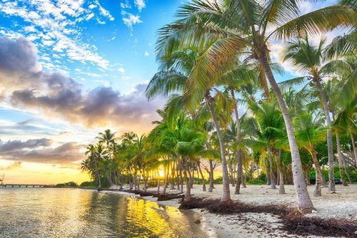 Plages, cocotiers, sable blanc... 6 îles des Caraïbes où s'envoler cet hiver pour échapper au froid !