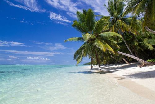 Plages de sable blanc, eaux turquoise et chaleur... voici nos recommandations des meilleures destinations où partir au soleil en décembre !