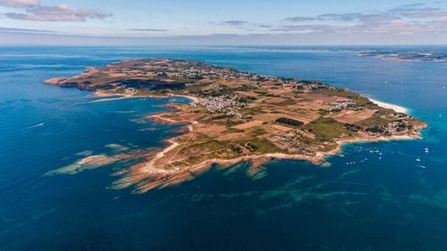 Idée insolite : dormez dans des bulles perchées dans les arbres sur l'île de Groix !