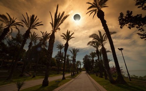 Eclipse solaire totale du 8 avril : voici les images impressionnantes de ce rare phénomène ! (La prochaine sera visible en 2026 depuis l'Europe)