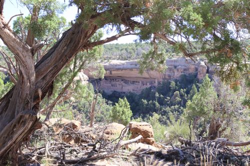 Le Parc National de Mesa Verde, la pépite de l’ouest américain