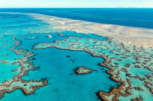 Allier travail et loisirs, c’est possible ! Direction la grande barrière de corail pour tester des activités uniques au cours d’une année en Australie