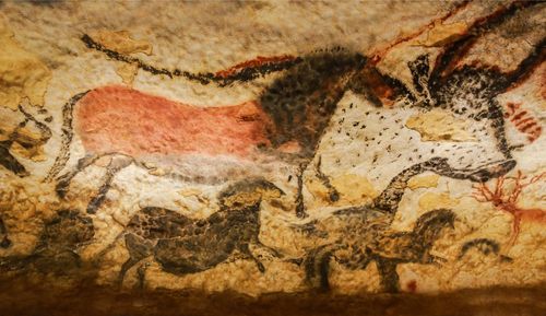 Voyage dans les entrailles de la Terre à la découverte des plus belles grottes de France