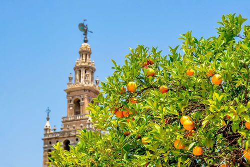 Un week-end à Séville à moins de 200€, c’est possible (vol, hôtel et visites compris)