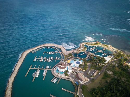 Resort di lusso, Café del Mar, bagni con i delfini e un porto turistico: benvenuti a Cofresi!