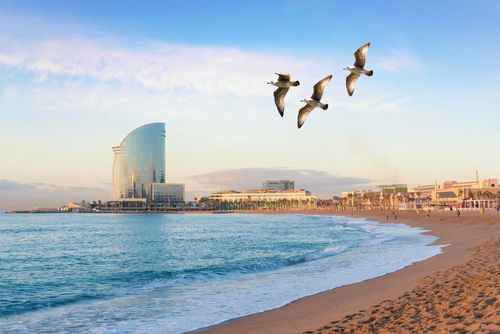 A stroll through Barceloneta, one of the most picturesque districts on the Costa Brava