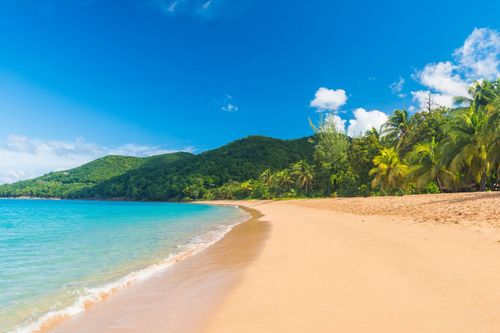 Les 5 plus beaux spots de baignade de Guadeloupe (et il n'y a pas que des plages) 