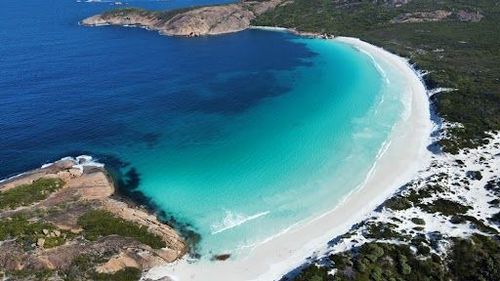 En Australie, cette plage au sable blanc immaculé a des visiteurs très particuliers ! 