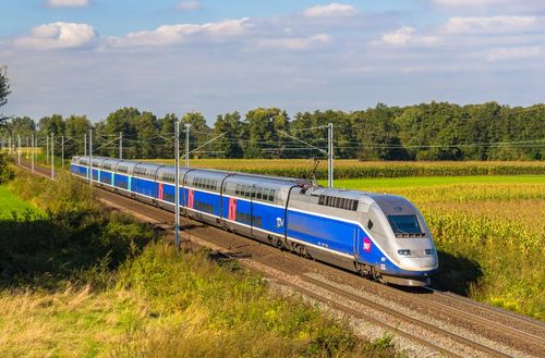 La ligne de TGV Paris-Lyon sera fermée pour le pont du 11 novembre ! Voici les alternatives