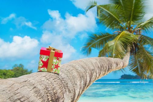Noël approche à grand pas et vous ne savez toujours pas quoi offrir ? Voici 5 idées cadeaux