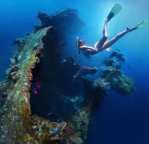 Ces célèbres épaves de guerre sont parmi les meilleurs spots de plongée du monde !