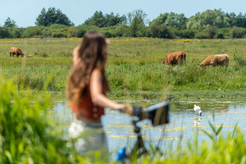 Recorrer en bicicleta el litoral de Hauts-de-France por la ruta Vélomaritime