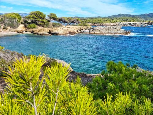 A deux pas de Toulon, découvrez cette petite île au cœur de la nature, idéale pour votre prochain week-end en famille !