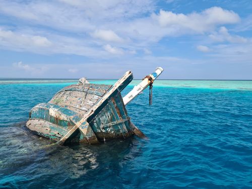Aux Maldives, cette épave de bateau est le spot parfait pour nager avec les poissons ! Voici comment la trouver