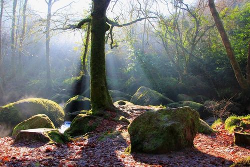 Fées, rochers magiques et illusions d'optiques : les secrets de la mystérieuse forêt de Huelgoat en Bretagne